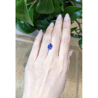 3.11 Ct. Blue Sapphire from Ceylon (Sri Lanka) Life Style