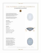 Jewelry 3 D Scan Report