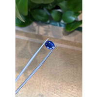 2.65 Ct. Blue Sapphire from Thailand Life Style