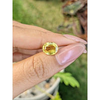 2.65 Ct. Yellow Sapphire from Ceylon (Sri Lanka) Life Style