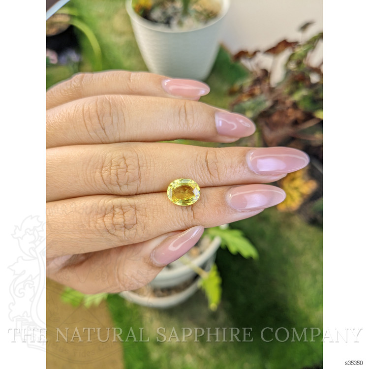 2.65 Ct. Yellow Sapphire from Ceylon (Sri Lanka)