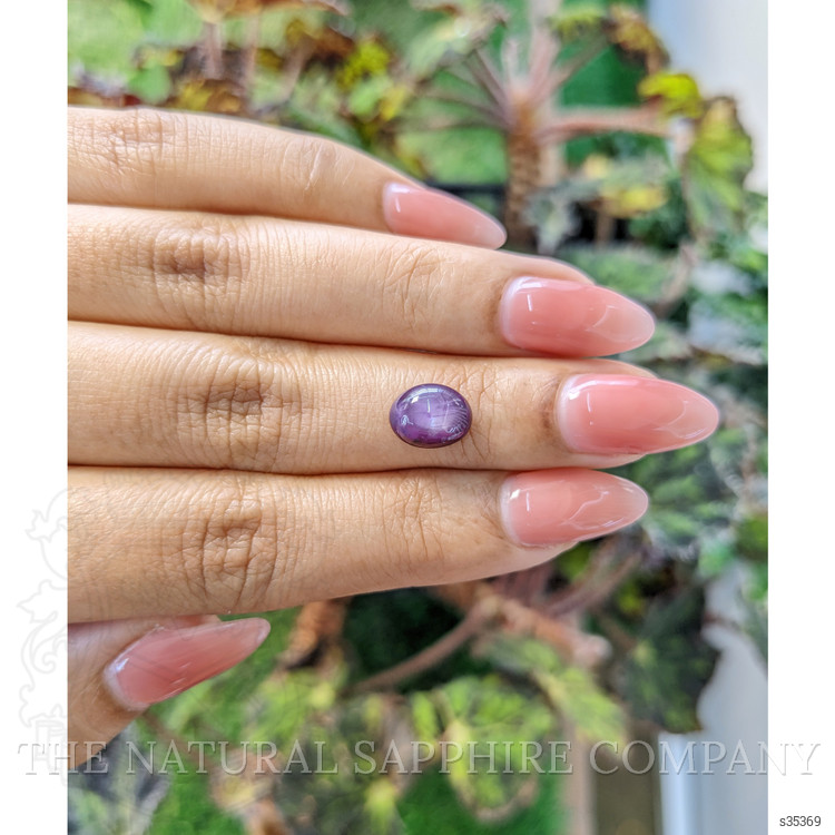 3.35 Ct. Purple Star Sapphire from Ceylon (Sri Lanka)