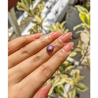 3.35 Ct. Purple Star Sapphire from Ceylon (Sri Lanka) Life Style