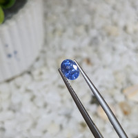 1.03 Ct. Blue Sapphire from Ceylon (Sri Lanka) Life Style