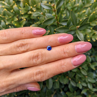 0.48 Ct. Blue Sapphire from Ceylon (Sri Lanka) Life Style