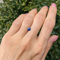 0.54 Ct. Blue Sapphire from Ceylon (Sri Lanka) Life Style