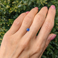 0.59 Ct. Blue Sapphire from Ceylon (Sri Lanka) Life Style