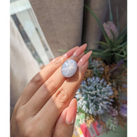 27.14 Ct. Grey Star Sapphire from Ceylon (Sri Lanka) Life Style