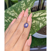 8.58 Ct. Violet Star Sapphire from Ceylon (Sri Lanka) Life Style