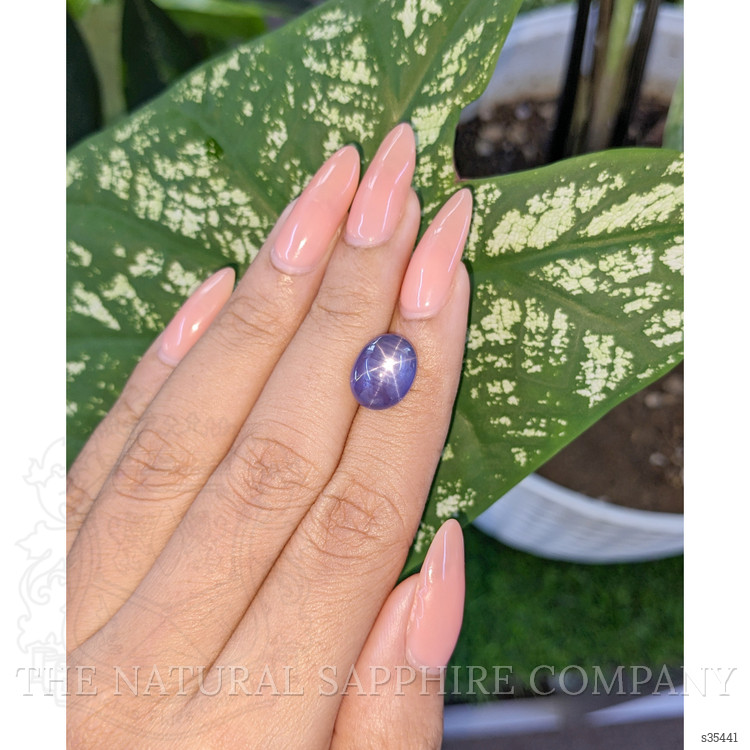 8.58 Ct. Violet Star Sapphire from Ceylon (Sri Lanka)