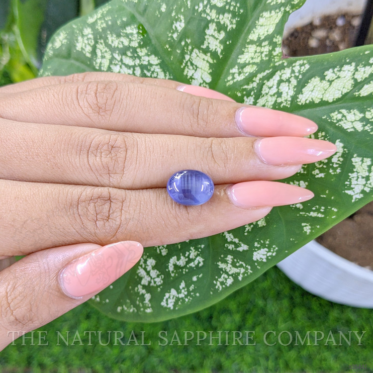 8.58 Ct. Violet Star Sapphire from Ceylon (Sri Lanka)