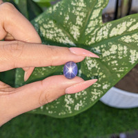 8.58 Ct. Violet Star Sapphire from Ceylon (Sri Lanka) Life Style