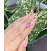 4.79 Ct. Pink Star Sapphire from Ceylon (Sri Lanka) Life Style