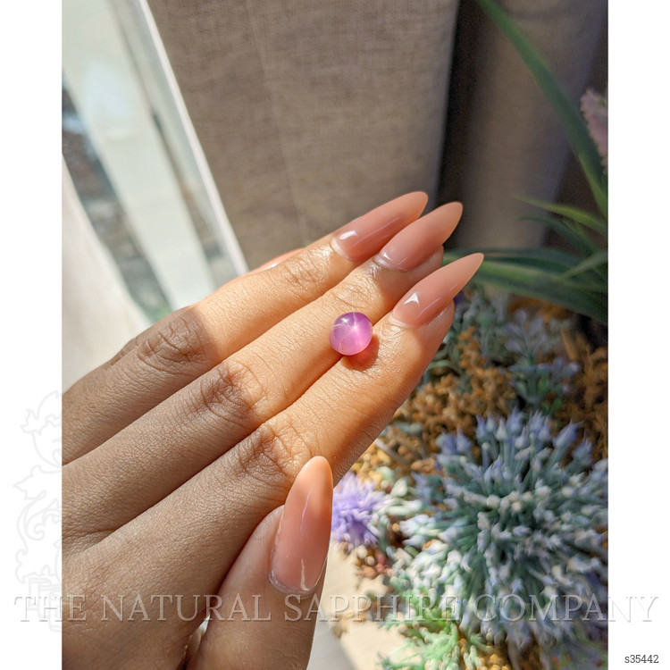 4.79 Ct. Pink Star Sapphire from Ceylon (Sri Lanka)