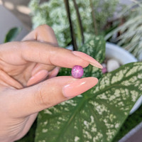 4.79 Ct. Pink Star Sapphire from Ceylon (Sri Lanka) Life Style
