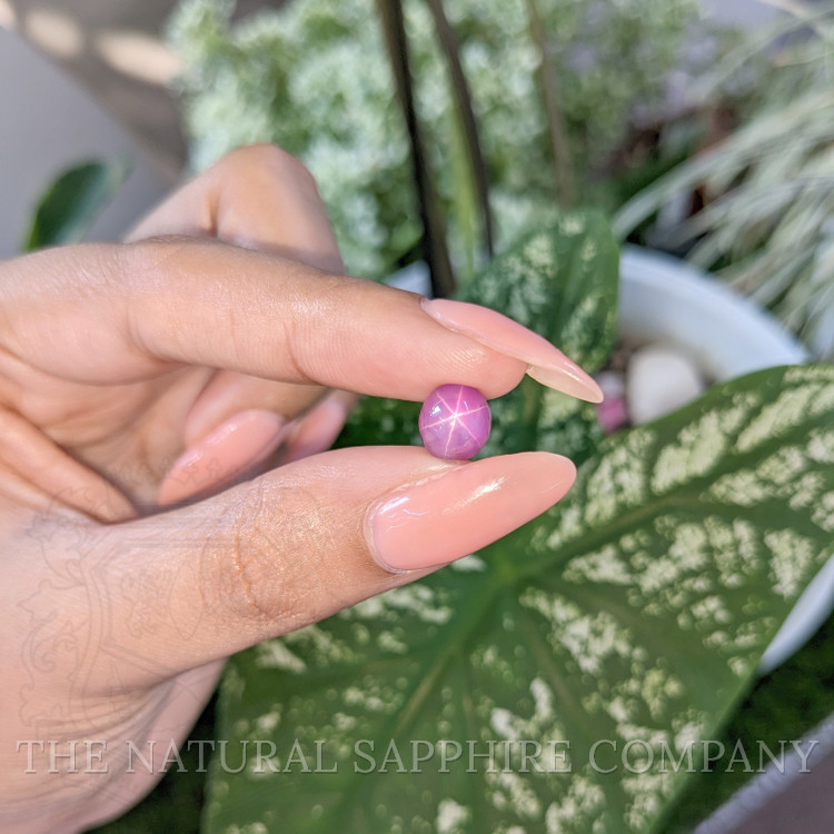4.79 Ct. Pink Star Sapphire from Ceylon (Sri Lanka)
