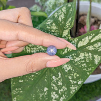 4.62 Ct. Blue Star Sapphire from Ceylon (Sri Lanka) Life Style