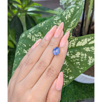 4.36 Ct. Blue Star Sapphire from Ceylon (Sri Lanka) Life Style