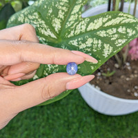 4.36 Ct. Blue Star Sapphire from Ceylon (Sri Lanka) Life Style