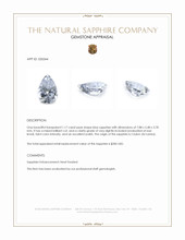 1.17 Ct. Blue Sapphire from Ceylon (Sri Lanka) Appraisal