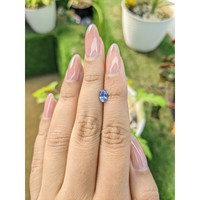 0.81 Ct. Blue Sapphire from Ceylon (Sri Lanka) Life Style