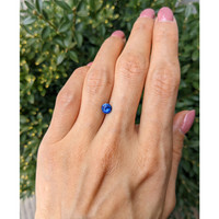0.77 Ct. Blue Sapphire from Ceylon (Sri Lanka) Life Style