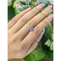 1.06 Ct. Violet Sapphire from Ceylon (Sri Lanka) Life Style