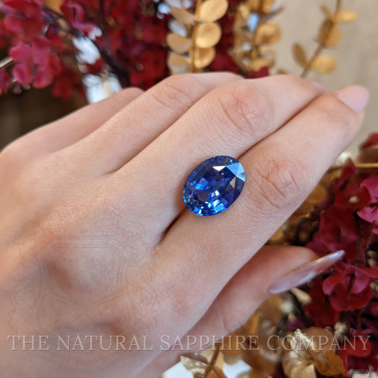 13.84 Ct. Blue Sapphire from Ceylon (Sri Lanka)