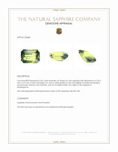 3.02 Ct. Bi Color Sapphire from Madagascar Appraisal
