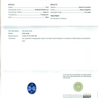 6.96 Ct. Blue Sapphire from Ceylon (Sri Lanka) Scan Report