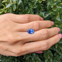 3.54 Ct. Blue Sapphire from Ceylon (Sri Lanka) Life Style
