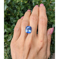 9.29 Ct. Blue Sapphire from Ceylon (Sri Lanka) Life Style