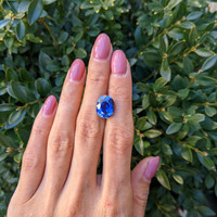 7.95 Ct. Blue Sapphire from Ceylon (Sri Lanka) Life Style