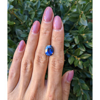 5.15 Ct. Blue Sapphire from Ceylon (Sri Lanka) Life Style