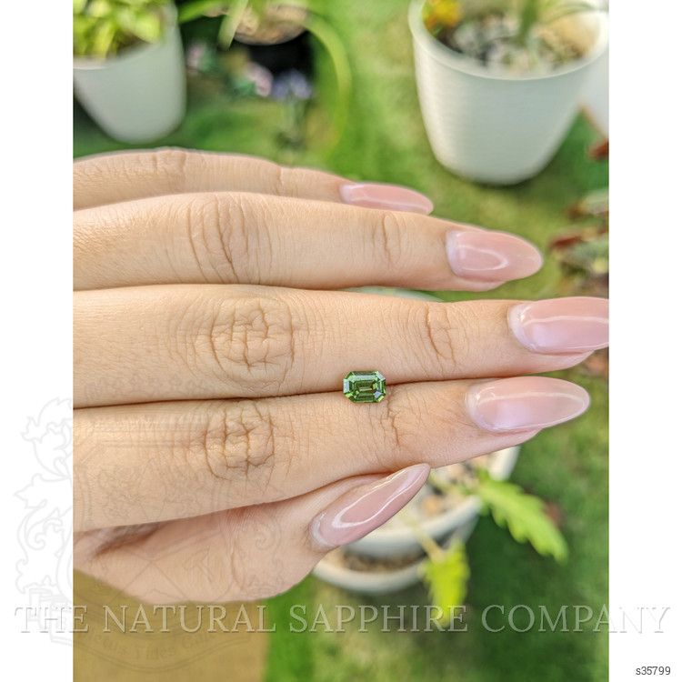 0.82 Ct. Yellowish Green Sapphire from Madagascar