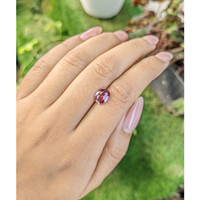 1.85 Ct. Padparadscha Sapphire from Ceylon (Sri Lanka) Life Style