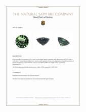 Jewelry Appraisal