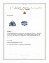 0.62 Ct. Blue Sapphire from Ceylon (Sri Lanka) Appraisal