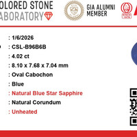 4.02 Ct. Blue Star Sapphire from Ceylon (Sri Lanka) Scan Report