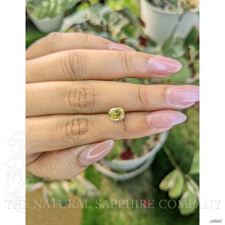 1.54 Ct. Yellow Sapphire from Ceylon (Sri Lanka)