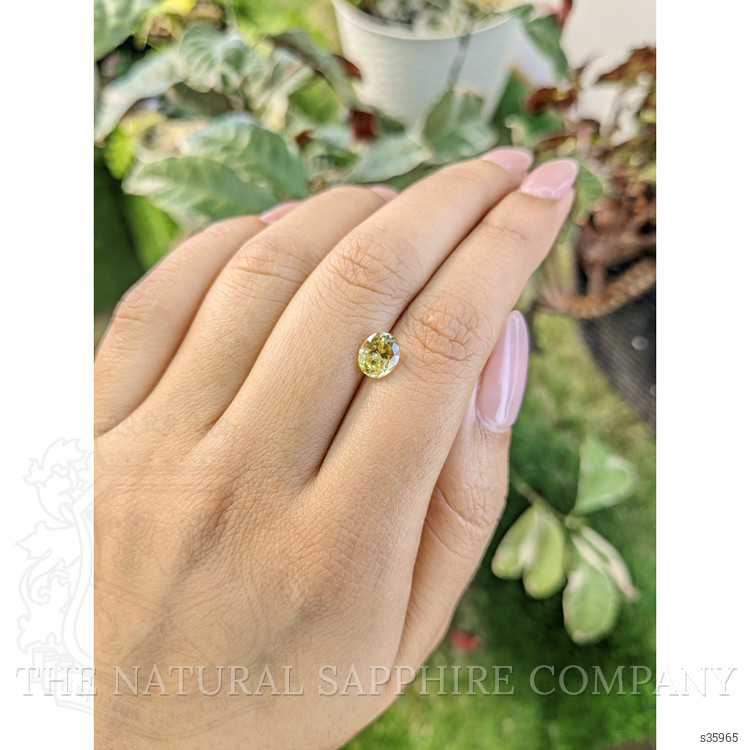 1.54 Ct. Yellow Sapphire from Ceylon (Sri Lanka)