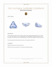 0.89 Ct. Blue Sapphire from Ceylon (Sri Lanka) Appraisal