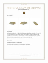 7.37 Ct. Yellow Rough Sapphire from Ceylon (Sri Lanka) Appraisal