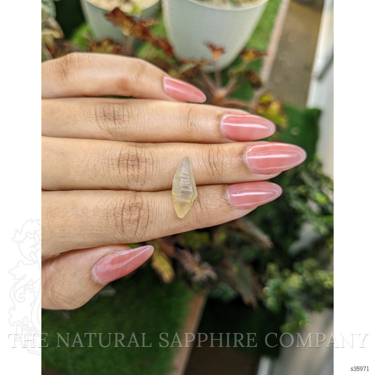 7.37 Ct. Yellow Rough Sapphire from Ceylon (Sri Lanka)