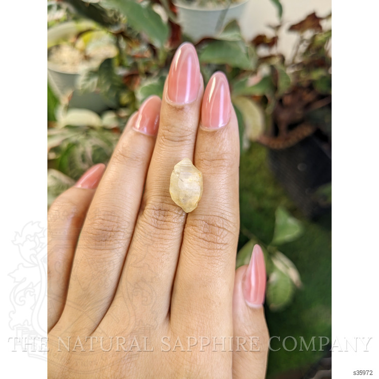 12.88 Ct. Yellow Rough Sapphire from Ceylon (Sri Lanka)