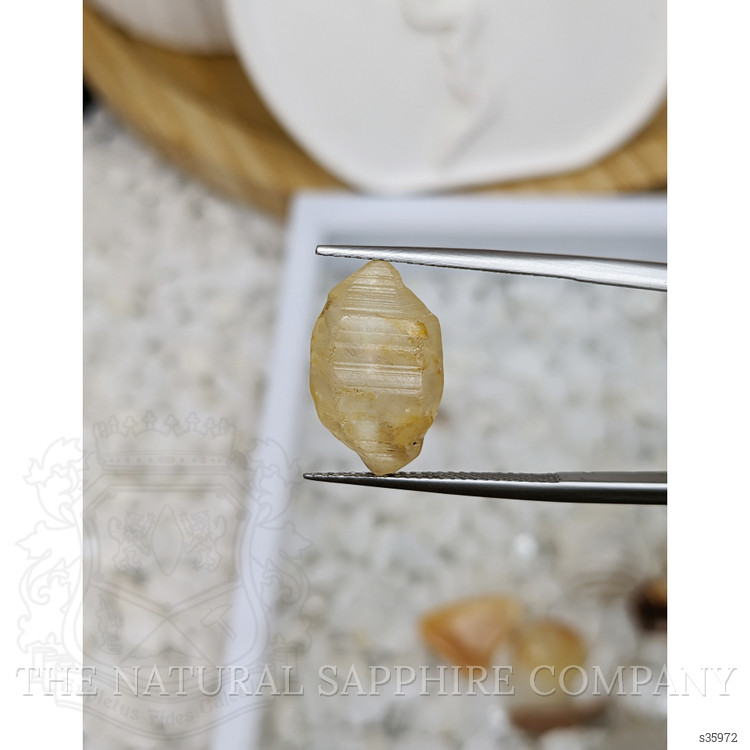 12.88 Ct. Yellow Rough Sapphire from Ceylon (Sri Lanka)