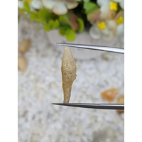 5.59 Ct. Yellow Rough Sapphire from Ceylon (Sri Lanka) Life Style