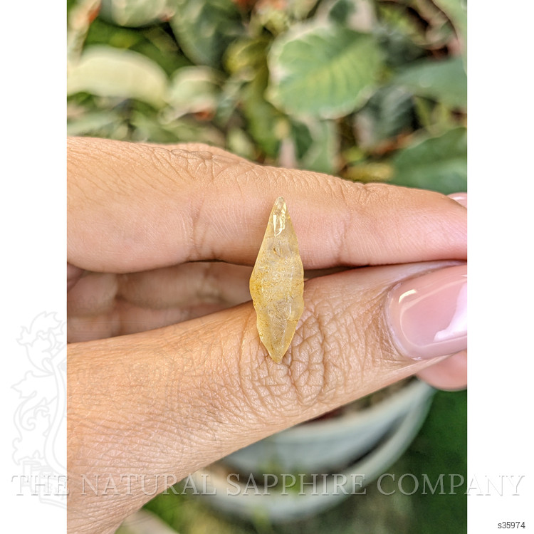 6.59 Ct. Yellow Sapphire Crystal from Ceylon (Sri Lanka)