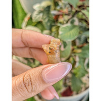 18.02 Ct. Yellowish Brown Rough Sapphire from Ceylon (Sri Lanka) Life Style