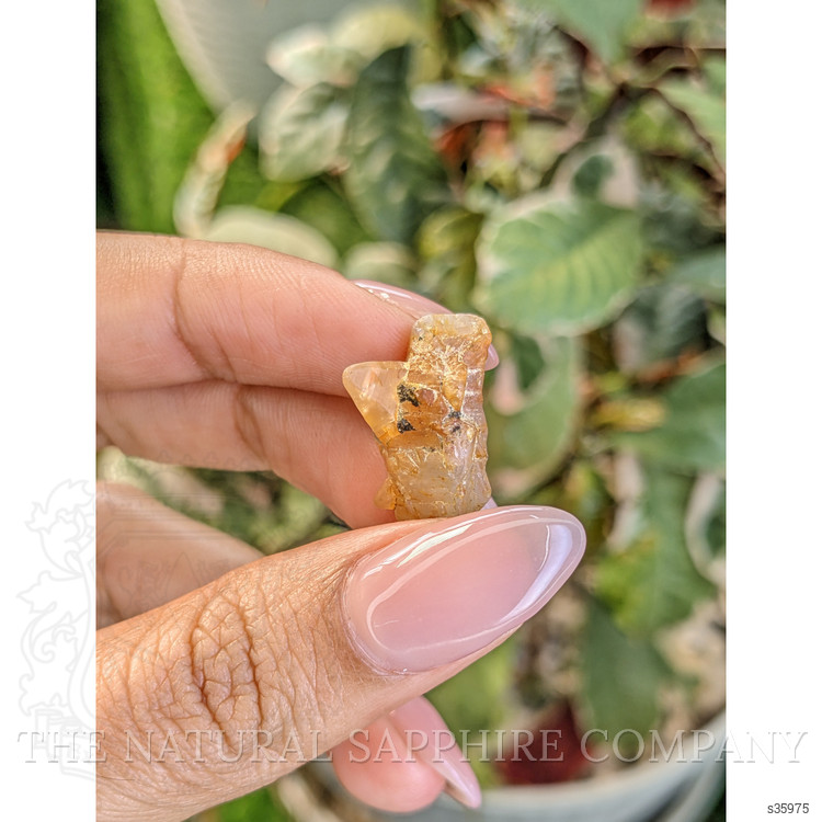 18.02 Ct. Yellowish Brown Rough Sapphire from Ceylon (Sri Lanka)